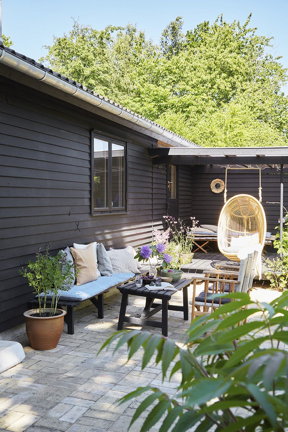 chilidegnbom220734 Hage loungeområde